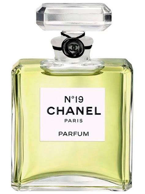 chanel no 19 perfume 50ml|chanel no 19 perfume vintage.